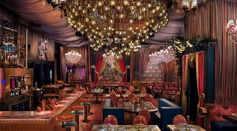 Habibi Miami